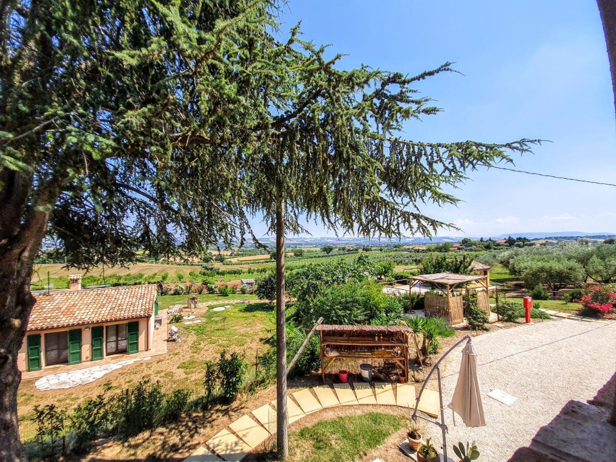 Agriturismo Rosa Antica Monte San Vito Exterior foto