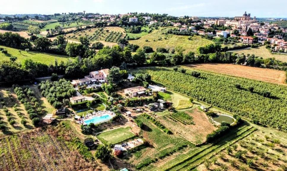 Agriturismo Rosa Antica Monte San Vito Exterior foto