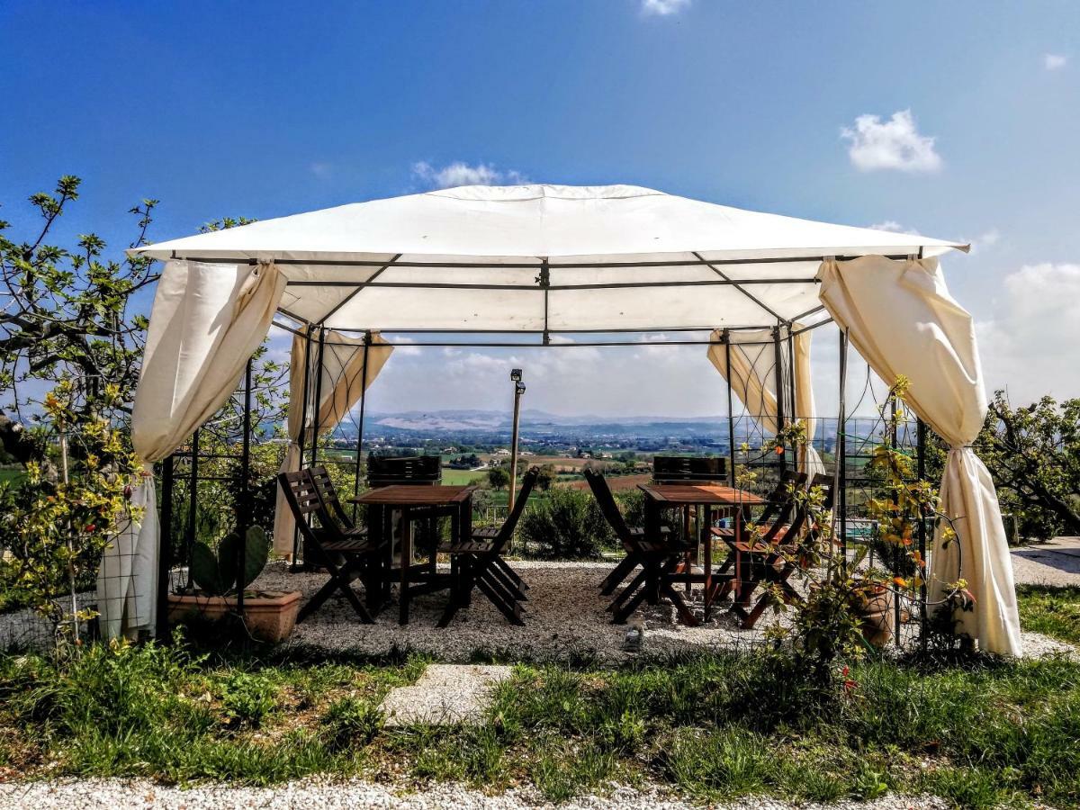 Agriturismo Rosa Antica Monte San Vito Exterior foto